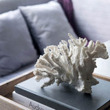 Faux Coral - 24cm