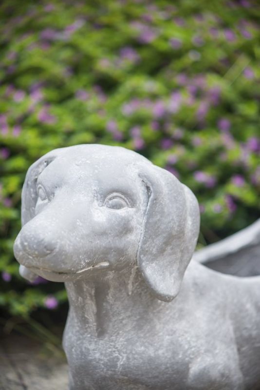 PLANTER - DOG (51cm)