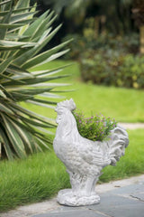 PLANTER - ROOSTER (48cm)