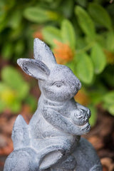 Rabbit Family Décor