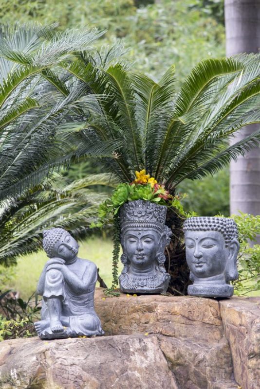 Budha Statue