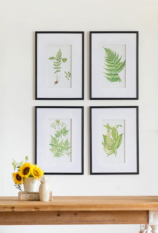Wall Art - BOTANICAL 1 (Set of 4)