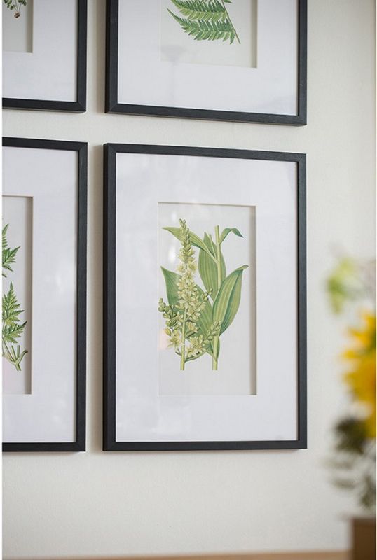 Wall Art - BOTANICAL 2 (Set of 4)
