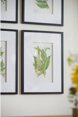 Wall Art - BOTANICAL 2 (Set of 4)
