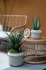 Planters Set of 2 - Sage Green