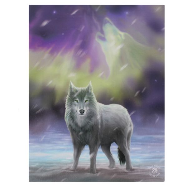 Canvas Art By Anne Stokes - Small Aurora Canvas