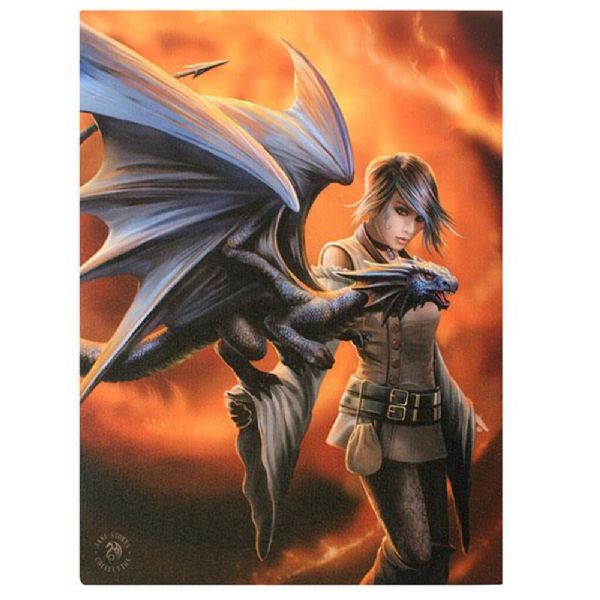 Canvas Wall Art  - Small Dragon Trainer   (Anne Stokes)