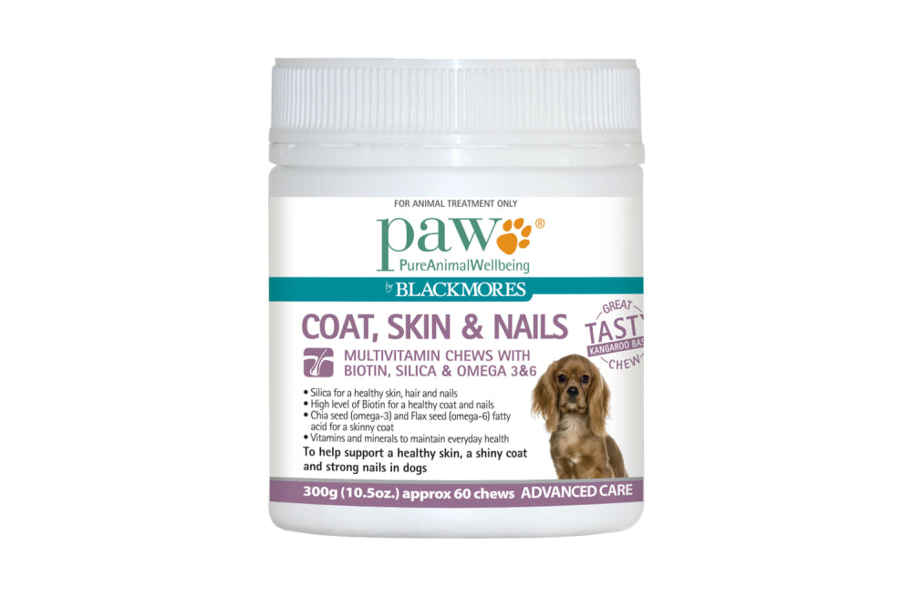 PAW Coat Skin Nails Chews - 300g