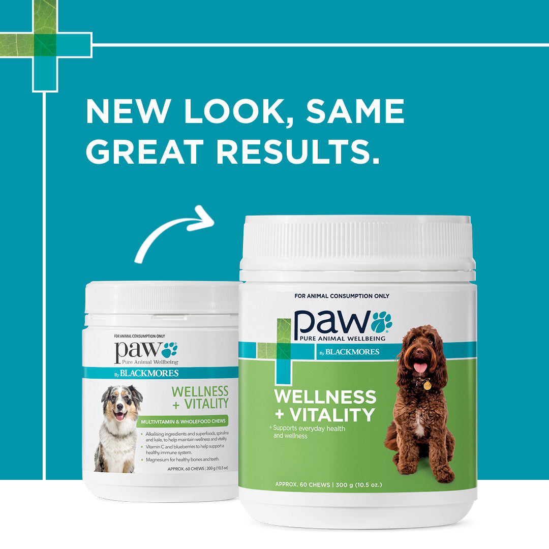 PAW Wellness + Vitality Chews - 300g