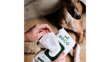 Beco Wipes - Coconut Scented (80pk)