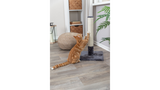 Scratching Post - Batres 62cm (Grey)