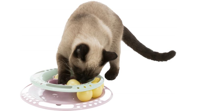 Cat Toy - Junior Kitten Circle (24cm)