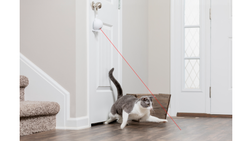 Cat Toy - PetSafe Dancing Dot Laser