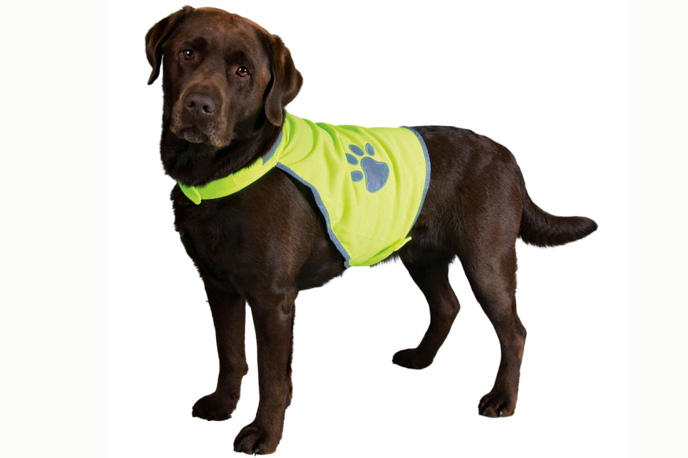 Reflective Safety Vest For Dog - XL