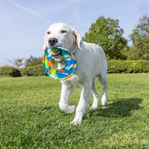 Fetch Flyer - Eco (Medium)