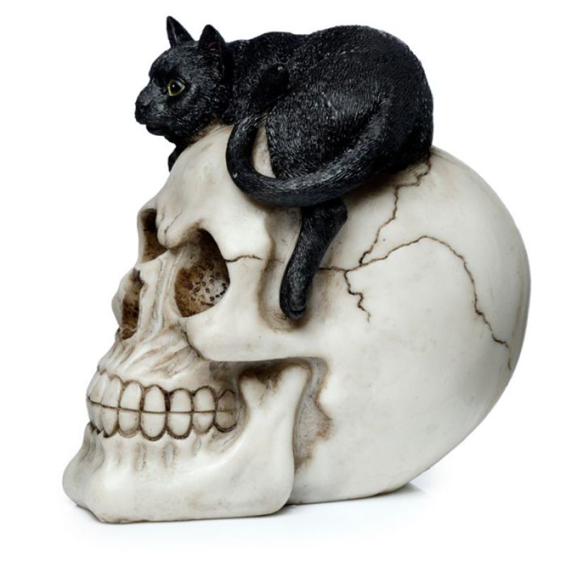 Ornament - Skull with Black Cat (15cm)