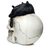 Ornament - Skull with Black Cat (15cm)