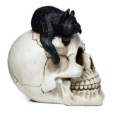 Ornament - Skull with Black Cat (15cm)
