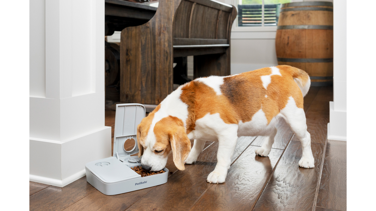 Pet Feeder Automatic - PetSafe 2 Meal Feeder