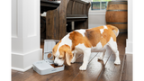 Pet Feeder Automatic - PetSafe 2 Meal Feeder