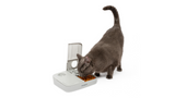 Pet Feeder Automatic - PetSafe 2 Meal Feeder