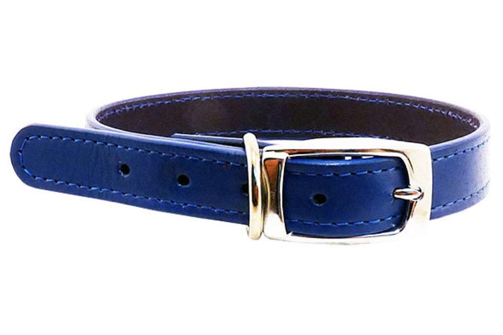 Dog Collar - Leather - 25mm x 55cm - BLue