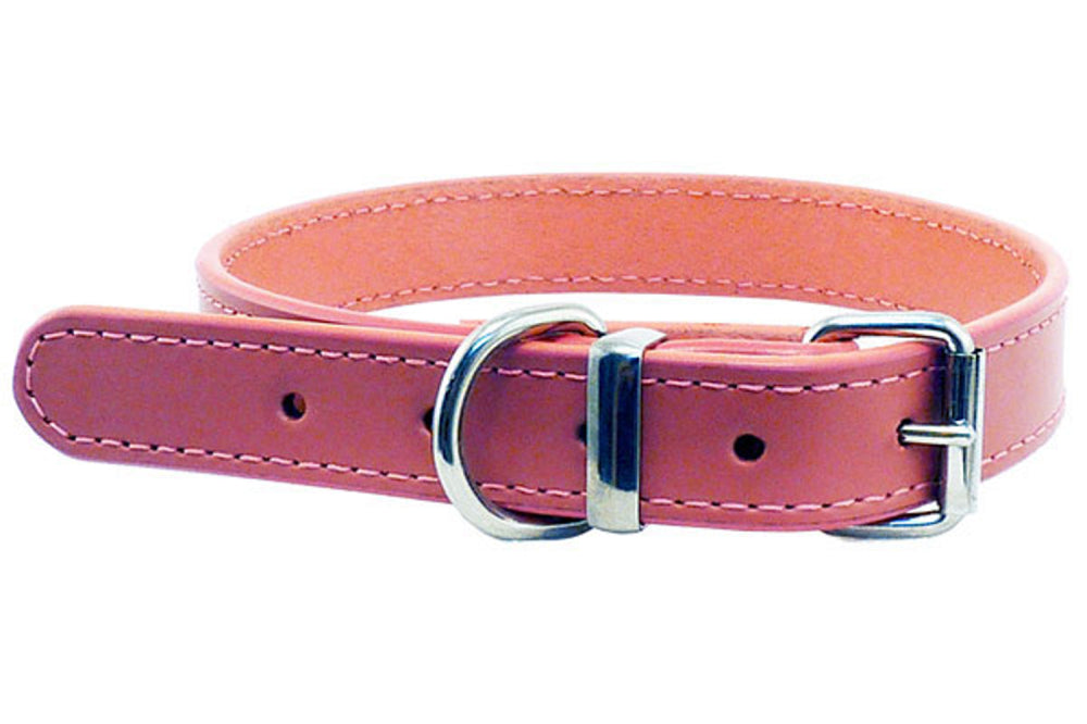 Dog Collar - Leather - 25mm x 55cm - Pink