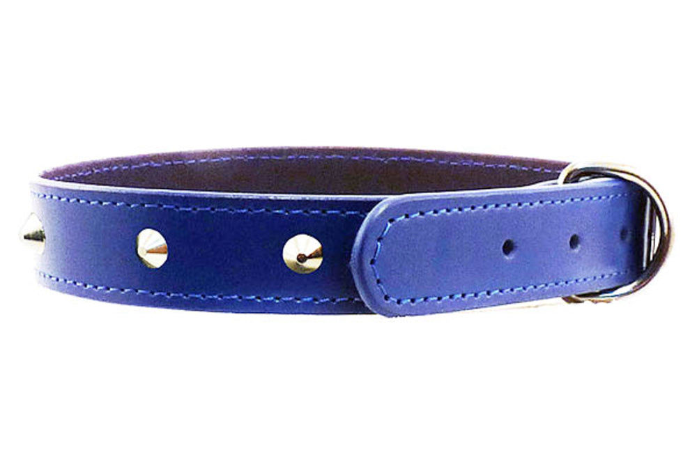 Dog Collar Leather Stitched Studded - 12mm x 35cm - Blue
