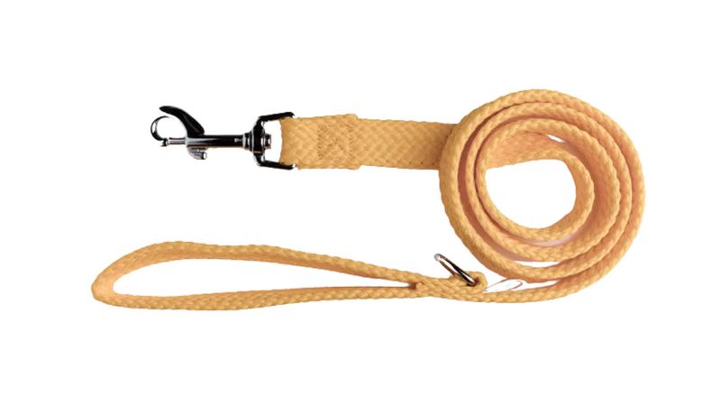Double Nylon Webbing Lead20mmx245cm Gold