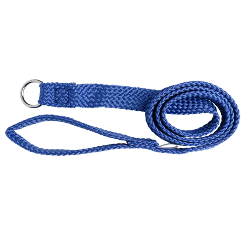 Dog Lead - Nylon Slip Lead 20mm x 180cm (Blue)