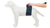 Belly Band for Male Dogs - Small (37-45cm)