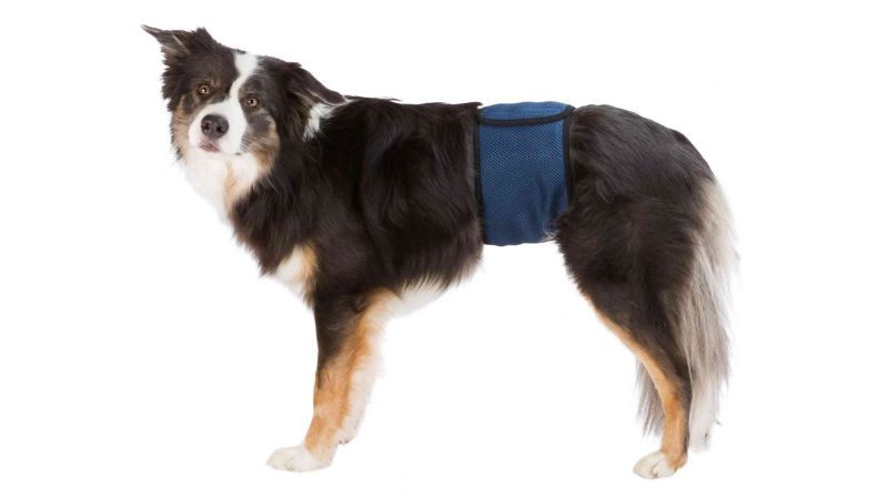 Belly Band for Male Dogs - Large (55-65cm)