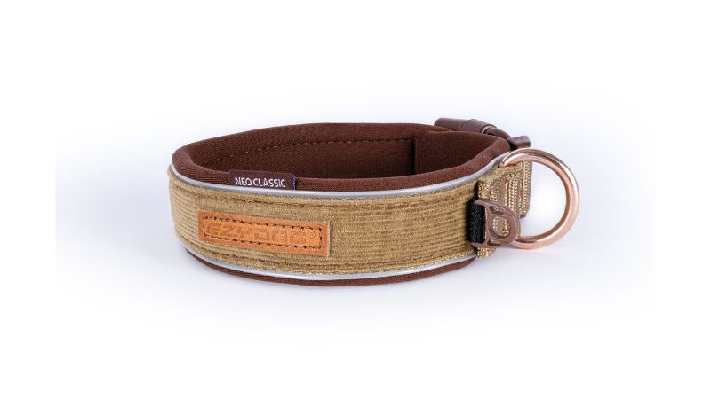 Dog Collar - ED Neo Classic L Corduroy