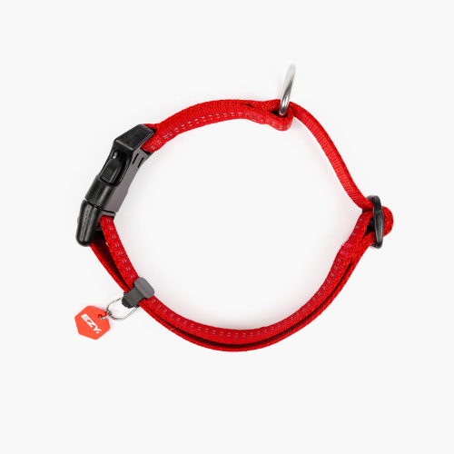 Dog Collar - ED Essential Collar Adjustable Large (Red)