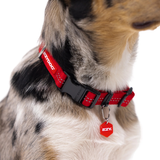 Dog Collar - ED Essential Collar Adjustable XL (Red)