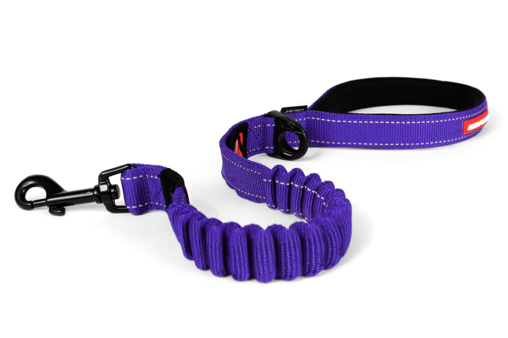 Dog Lead - EzyDog Leash Zero Shock 60cm Purple