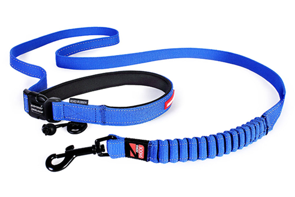 Dog Lead - EzyDog Road Runner Leash 2.1m Blue