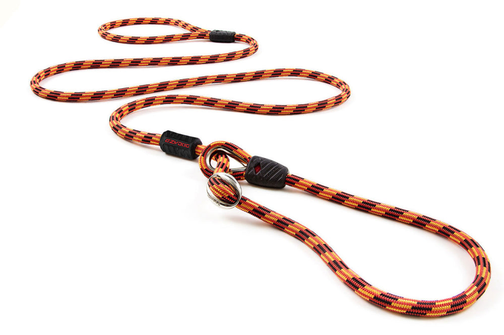 Dog Leash - ED Luca Leash Orange