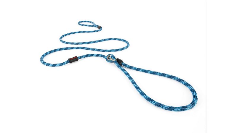 Dog Leash - ED Luca (Light Blue)