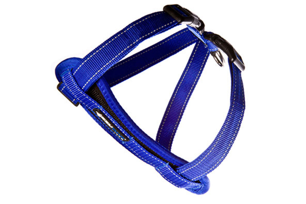 Dog Harness - EzyDog Chest Plate Harness - Large (Blue)