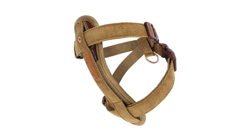 Dog Harness - ED CP L (Corduroy)