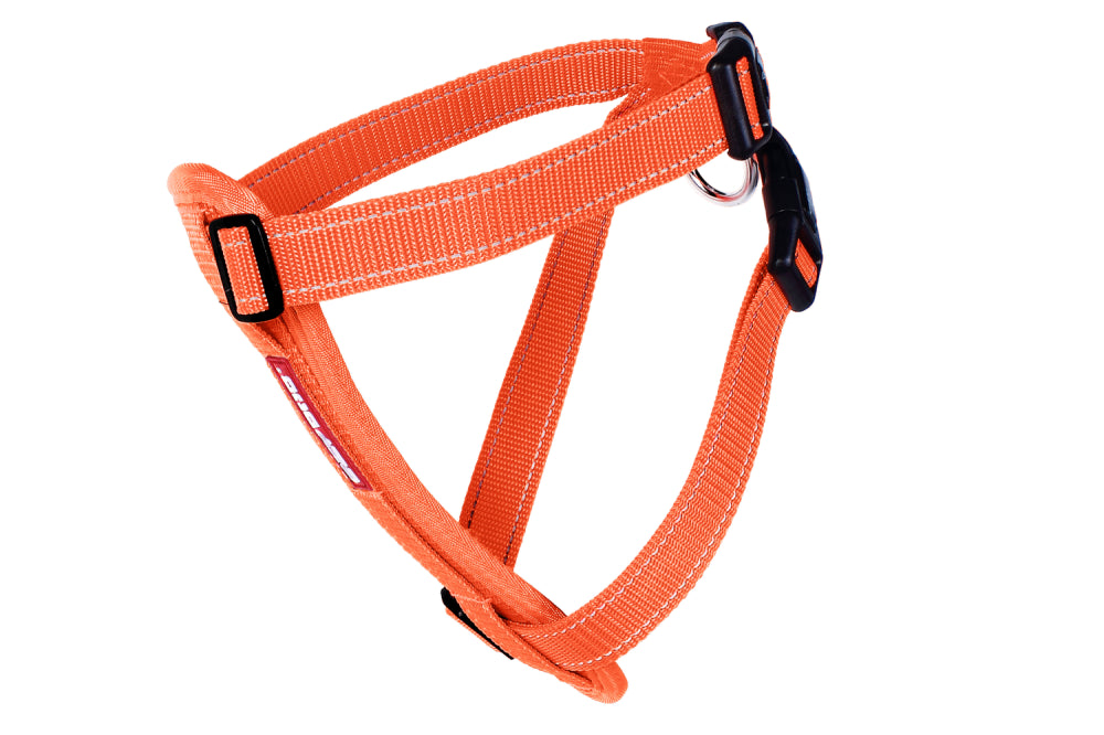 Dog Harness - EzyDog Harness Chest Plate Orange - Small