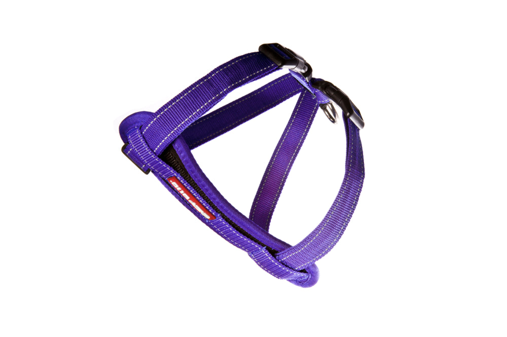 Dog Harness - EzyDog Harness Chest Plate Medium Purple