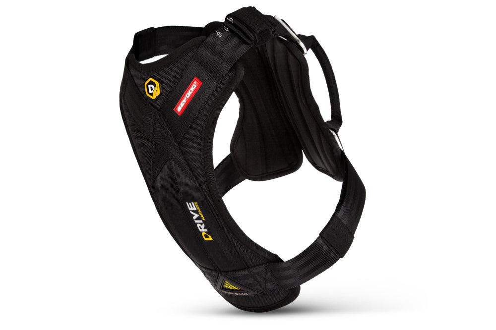 ED Drive Harness Black  - Small