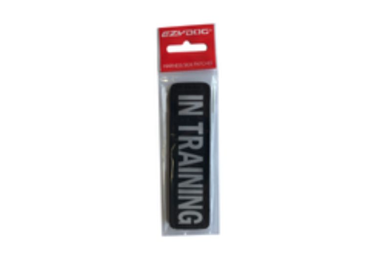 ED Side Patch - IN TRAINING (Small)