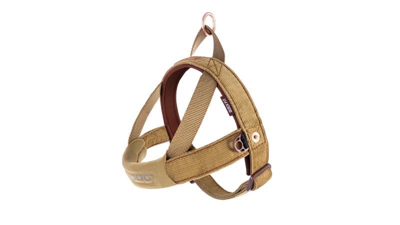 Dog Harness - ED QF S (Corduroy)