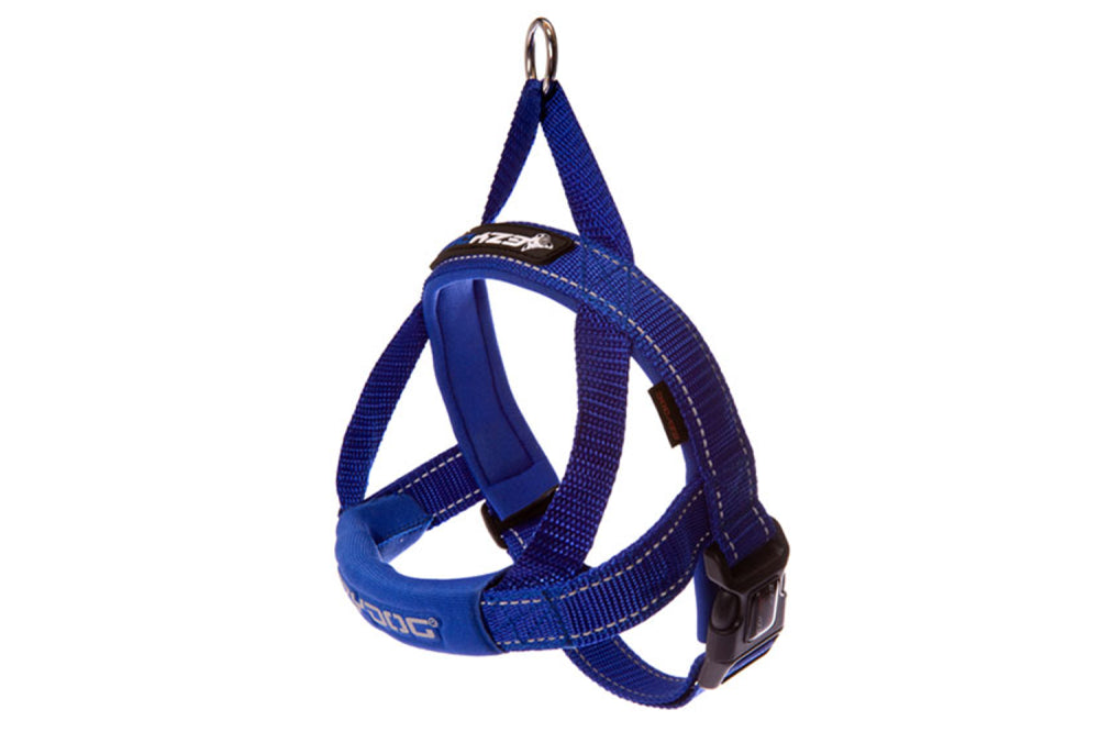 Dog Harness - EzyDog Quick Fit Harness Large  Blue