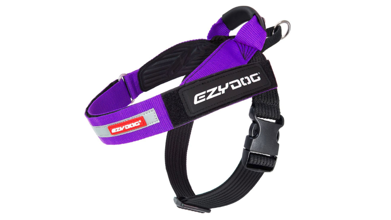 Dog Harness - ED Express Medium (Purple)