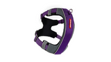 Dog Harness - ED X-Link Medium (Purple)