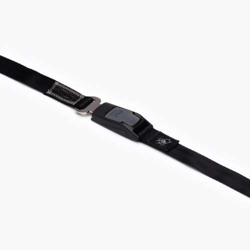 2-in-1 Car Leash Dog Seatbelt